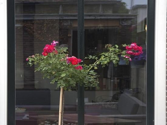 hotel herberg joure