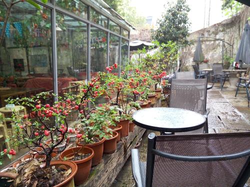 shaoxing luxun native place youth hostel