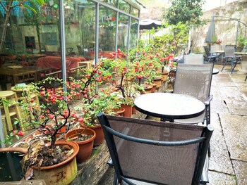 shaoxing luxun native place youth hostel