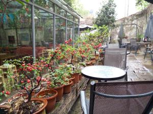 shaoxing luxun native place youth hostel