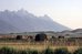 the wyoming inn of jackson hole