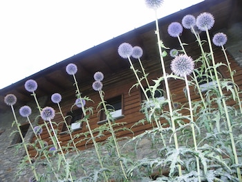 hotel les granges