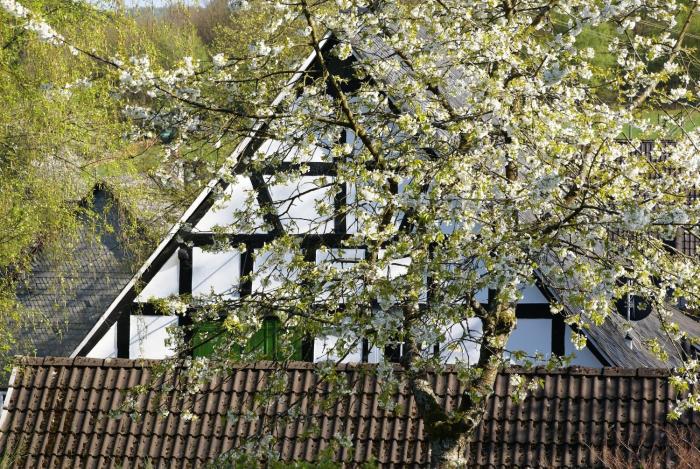 freudenberg