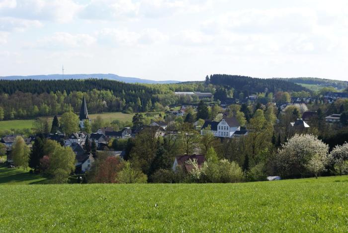 freudenberg