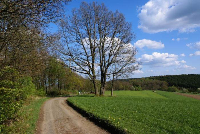freudenberg