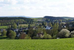 freudenberg