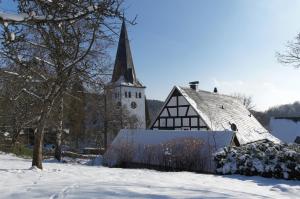freudenberg