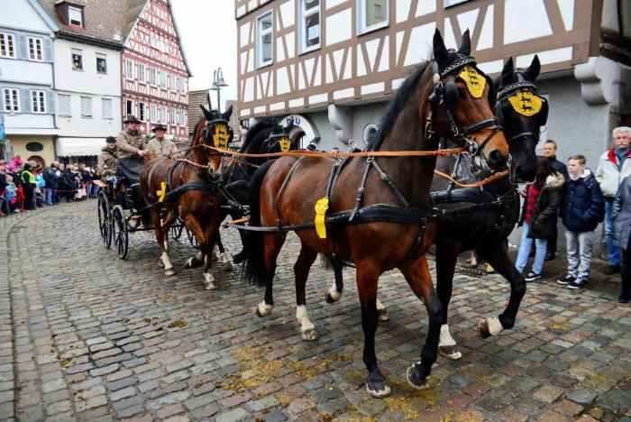 leonberg