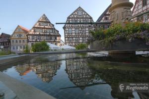 leonberg