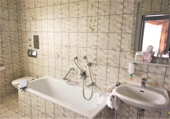 hotel alena
