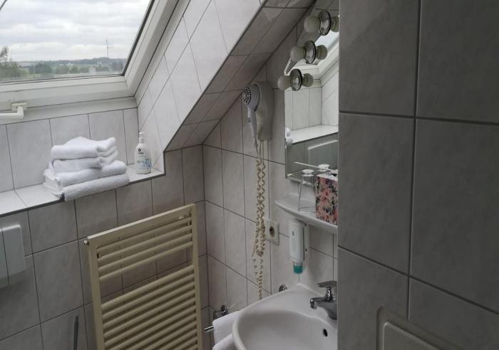 hotel alena