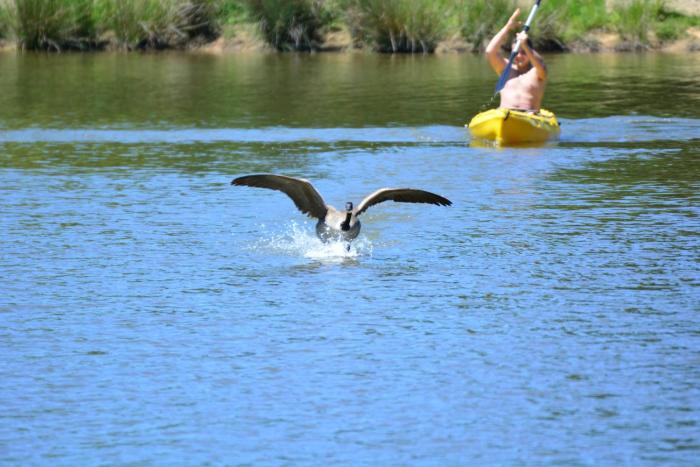 chateau de la motte beaumanoir