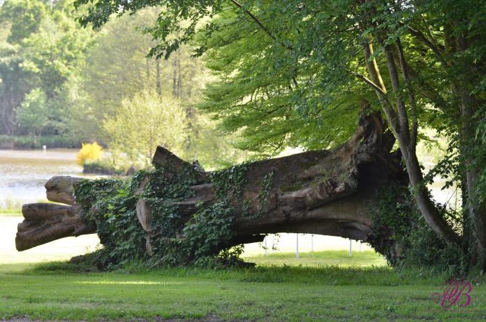 chateau de la motte beaumanoir