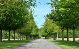 Château De La Motte Beaumanoir,,1 star