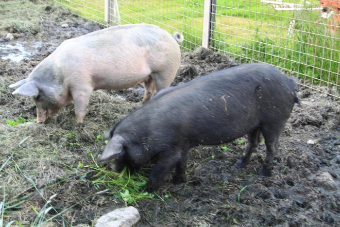 sankt margarethen im lungau