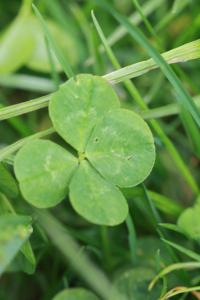 sankt margarethen im lungau