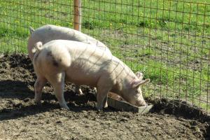 sankt margarethen im lungau