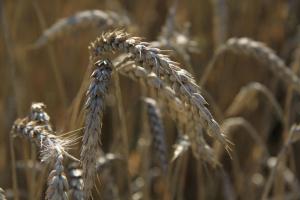 sankt margarethen im lungau