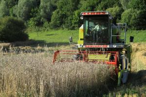 sankt margarethen im lungau