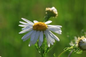 sankt margarethen im lungau