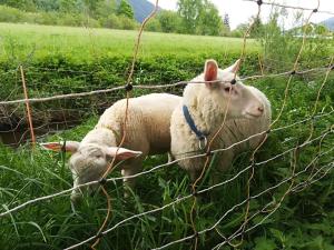 sankt margarethen im lungau