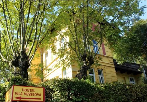 vila veselova