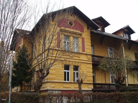 vila veselova