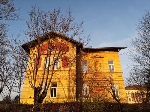 vila veselova
