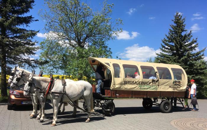 hotel dachsbaude and kammbaude