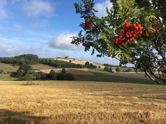 hotel dachsbaude and kammbaude