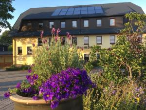 hotel dachsbaude and kammbaude