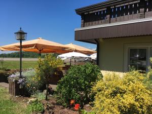 hotel dachsbaude and kammbaude