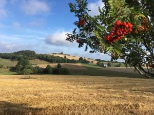 hotel dachsbaude and kammbaude