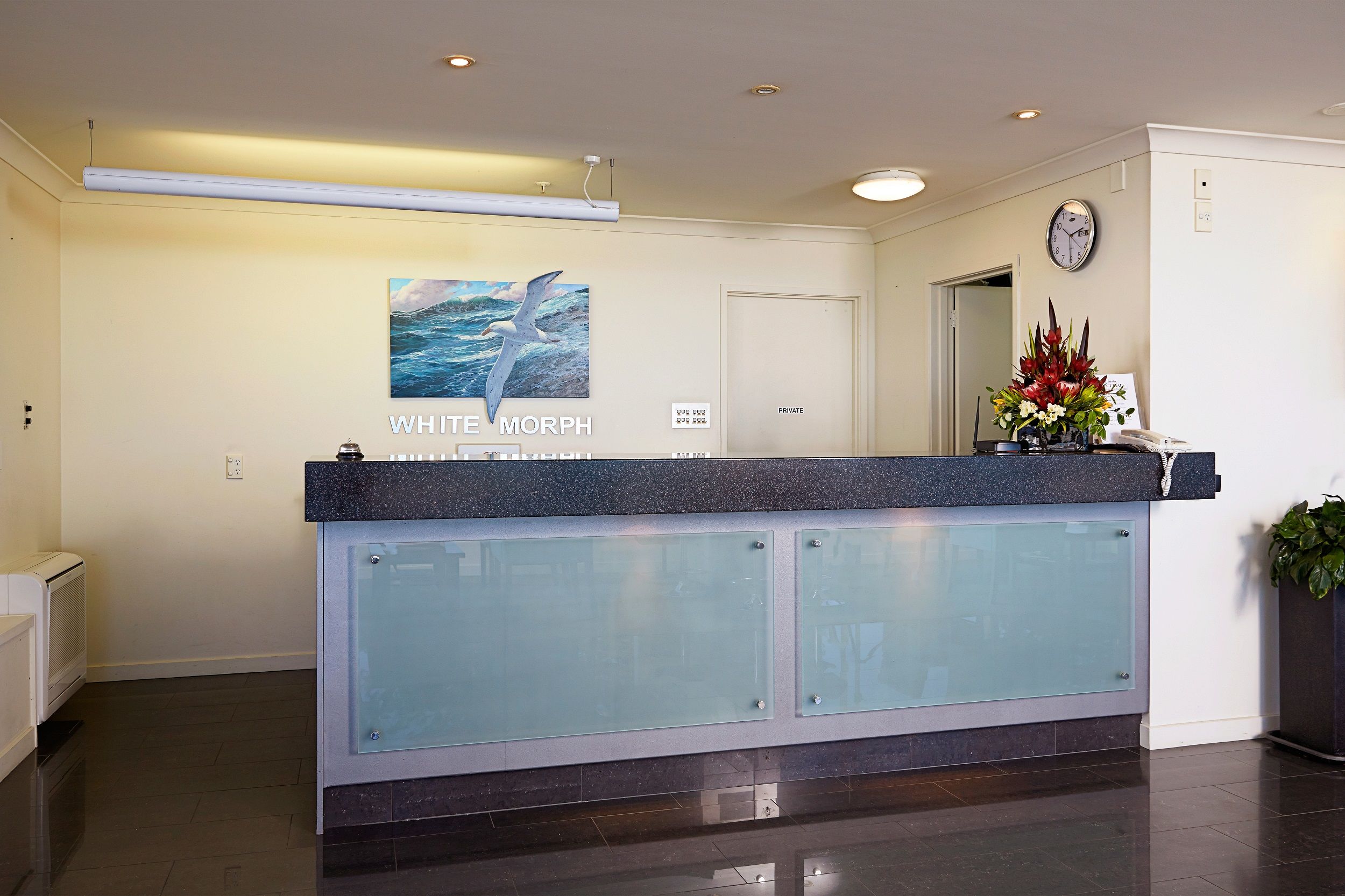 the white morph heritage collection