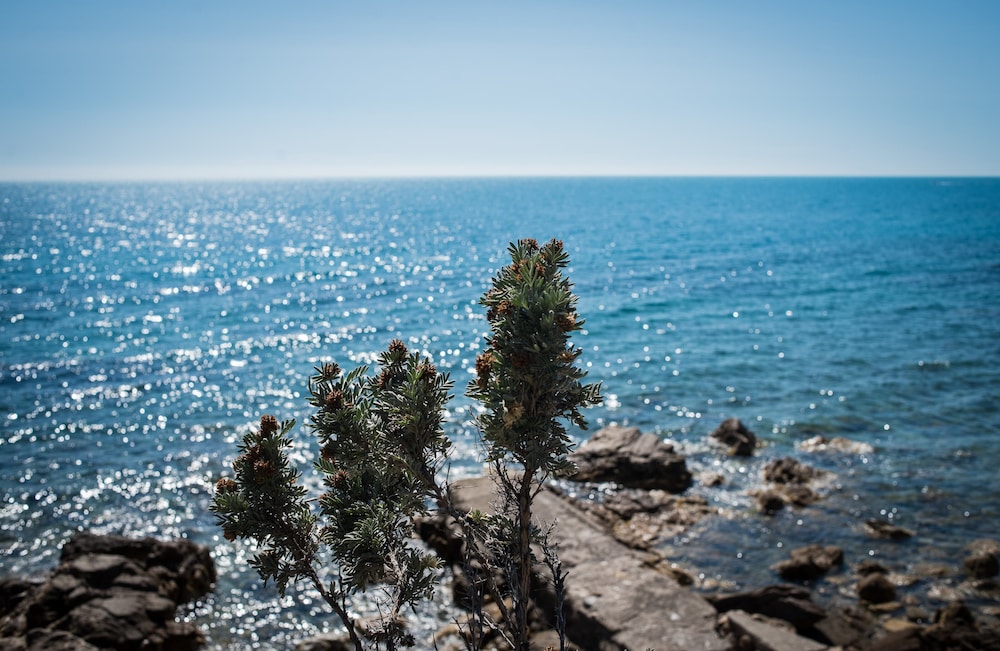 agriturismo club le cannelle