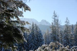 zakopane