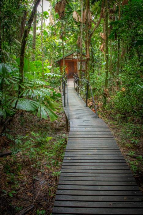 Daintree Wilderness Lodge