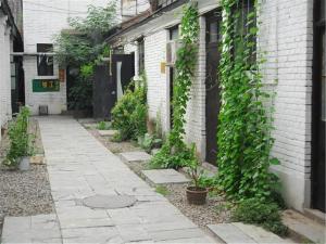 beijing p loft youth hostel