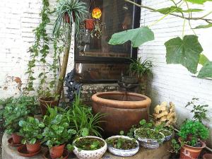 beijing p loft youth hostel