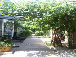 beijing p loft youth hostel