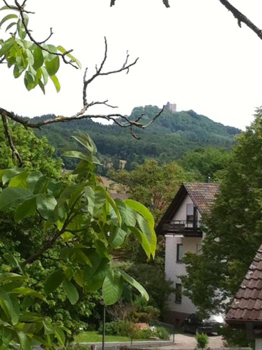 hotel garni schmieders ochsen