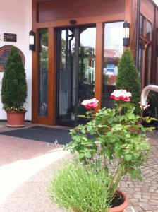 hotel garni schmieders ochsen