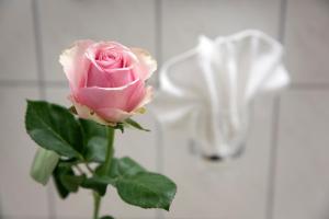 wellness and nationalpark hotel schliffkopf bwsc