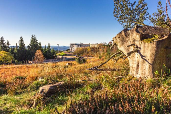 wellness and nationalpark hotel schliffkopf