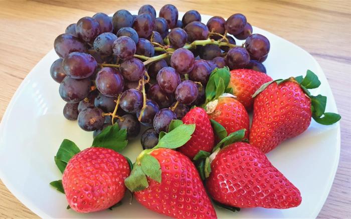 hotel austria stuttgart city