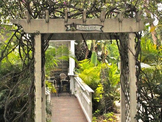 peninsula bed and cocktails