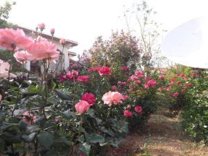 paradise holiday bungalows