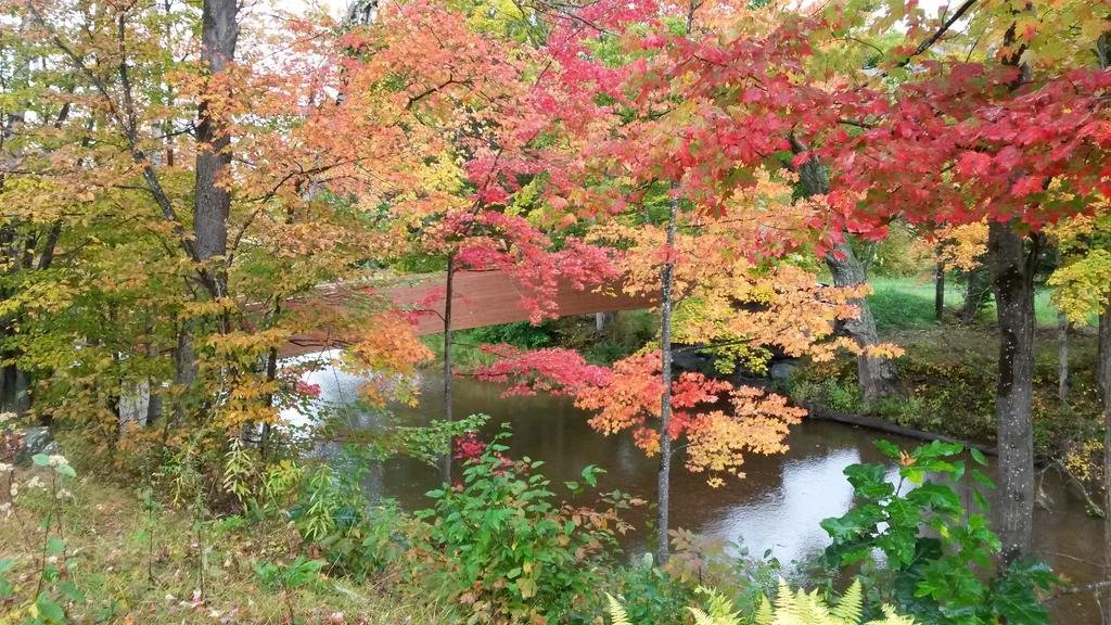windham