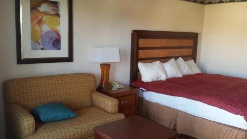 studio 9 inn and suites