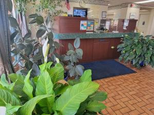studio 9 inn and suites